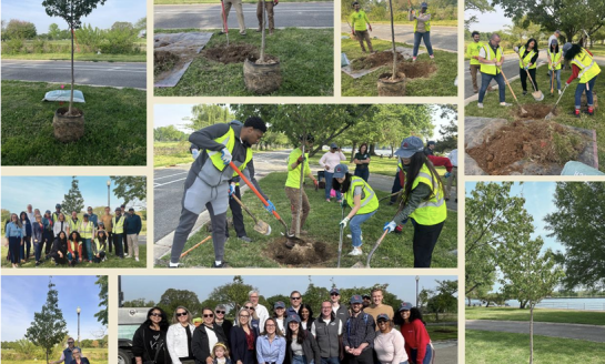 Callahan & Associates Marks 40 Years With Cherry Tree Dedication At Hains Point
